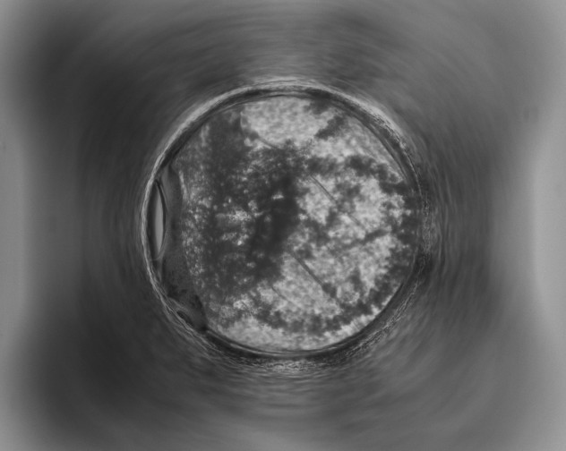 X0000095951279200802081250