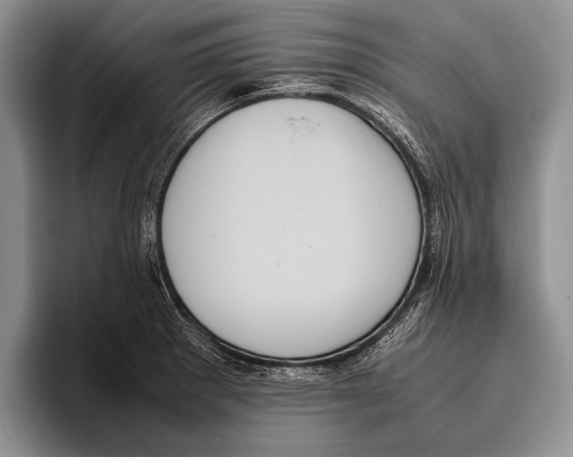 X0000095951281200802081250