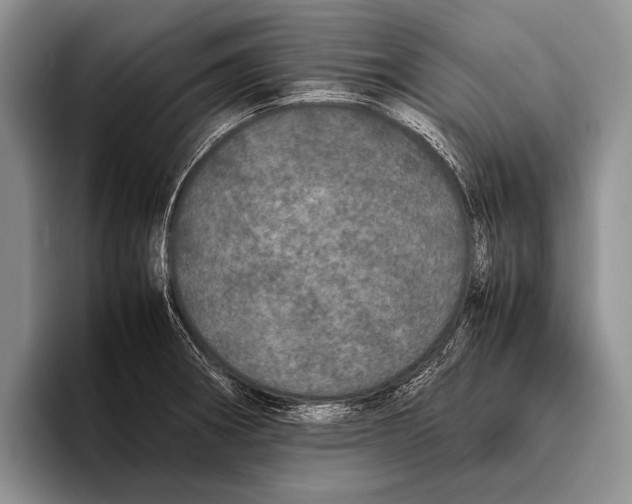 X0000095951282200802081250