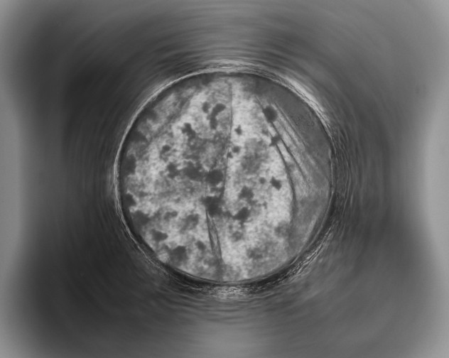 X0000095951283200802081250