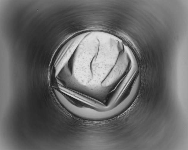 X0000095951284200802081250