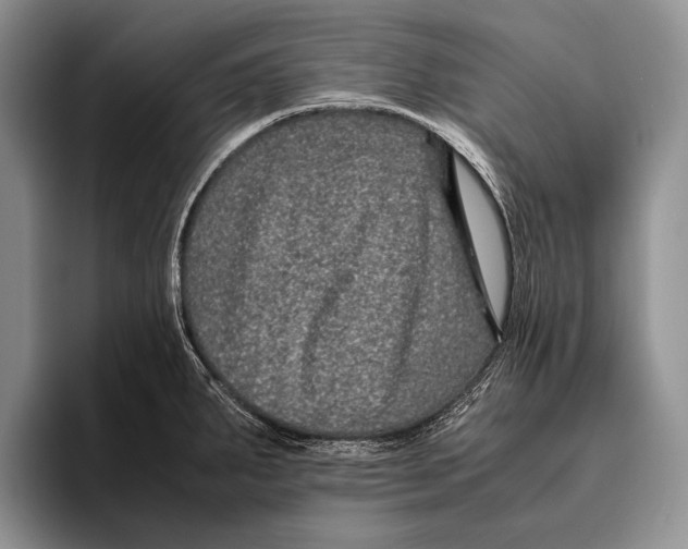 X0000095951287200802081250