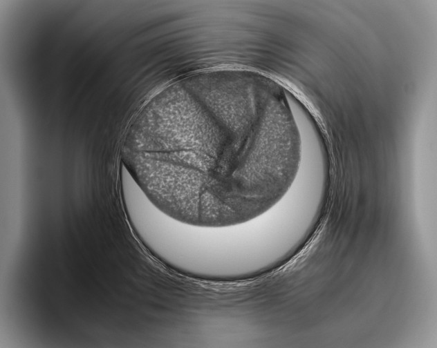 X0000095951289200802081250