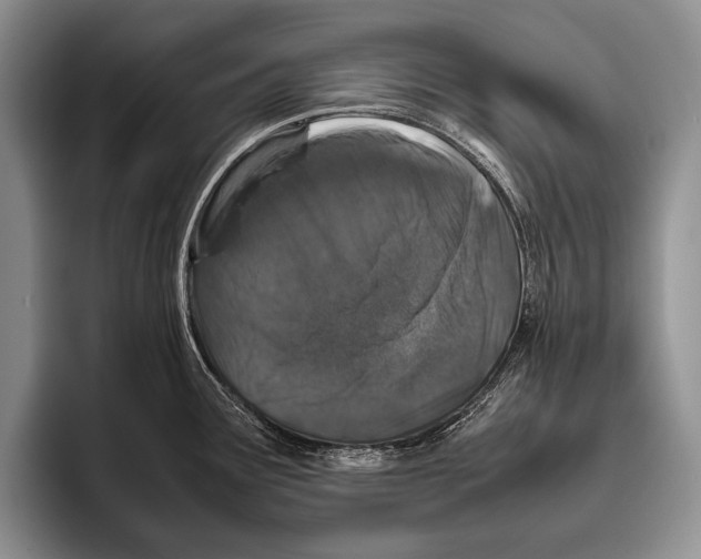 X0000095951291200802081250