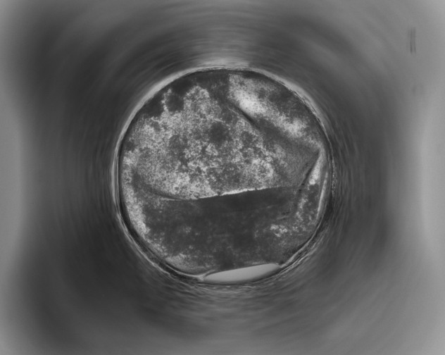 X0000095951295200802081250