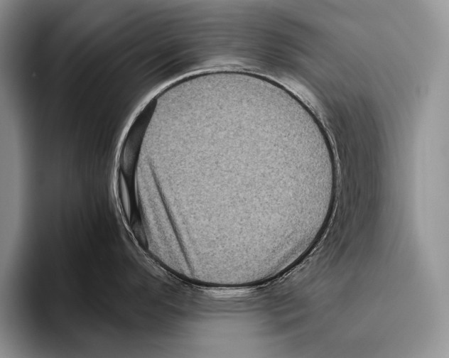 X0000095951296200802081250