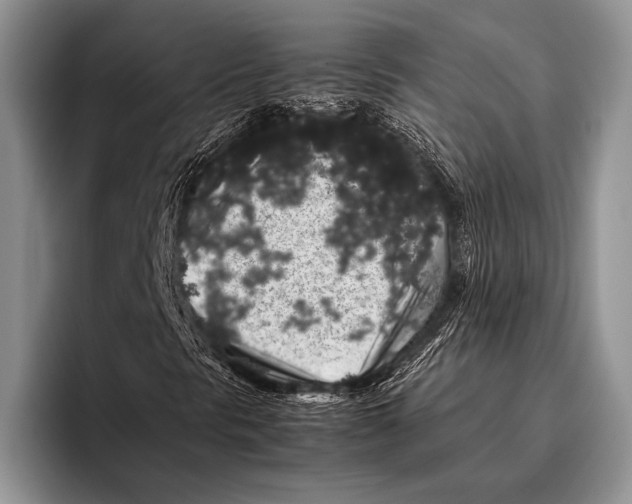 X0000095951297200802081249