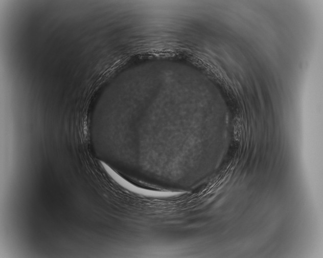 X0000095951298200802081249