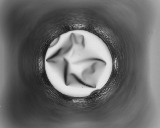 X0000095951299200802081249