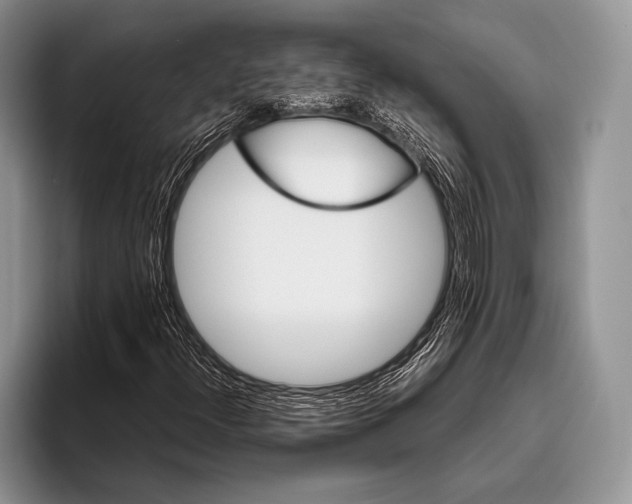 X0000095951300200802081249