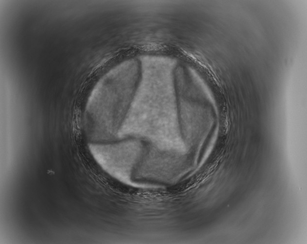 X0000095951301200802081249