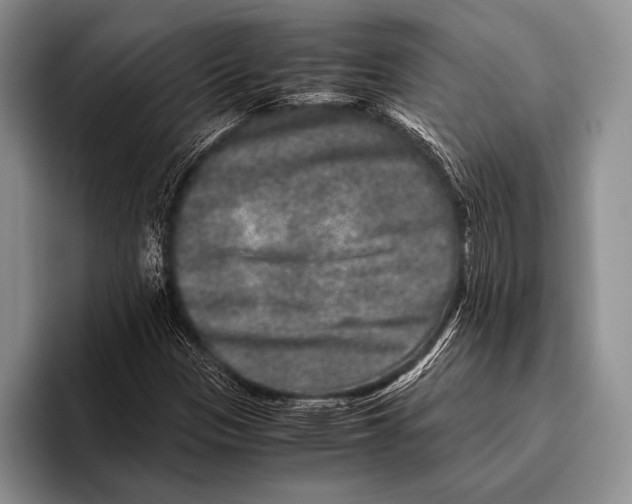 X0000095951305200802081249