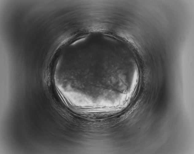 X0000095951306200802081249