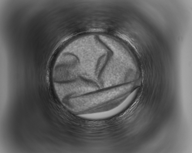 X0000095951307200802081249