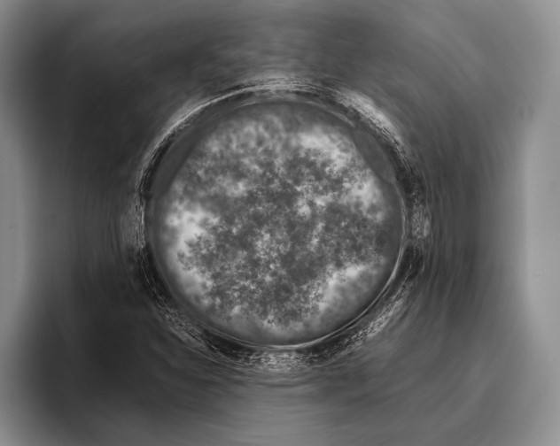 X0000095951310200802081249