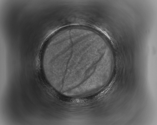 X0000095951311200802081249