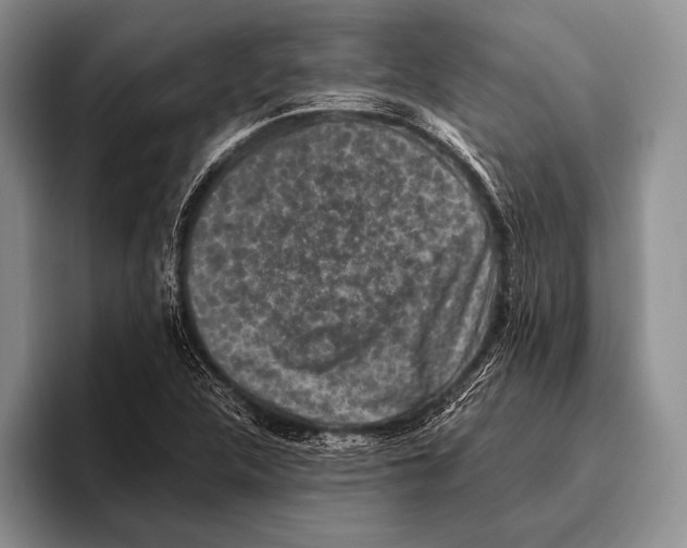 X0000095951312200802081249