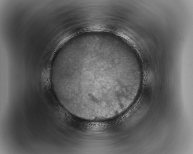 X0000095951314200802081249