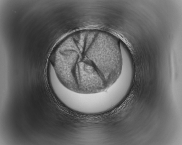 X0000095951316200802081249