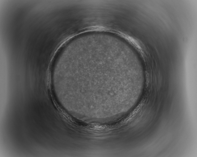 X0000095951318200802081249