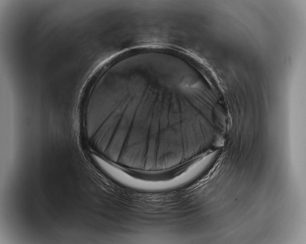 X0000095951319200802081249