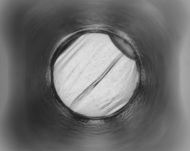 X0000095951320200802081249