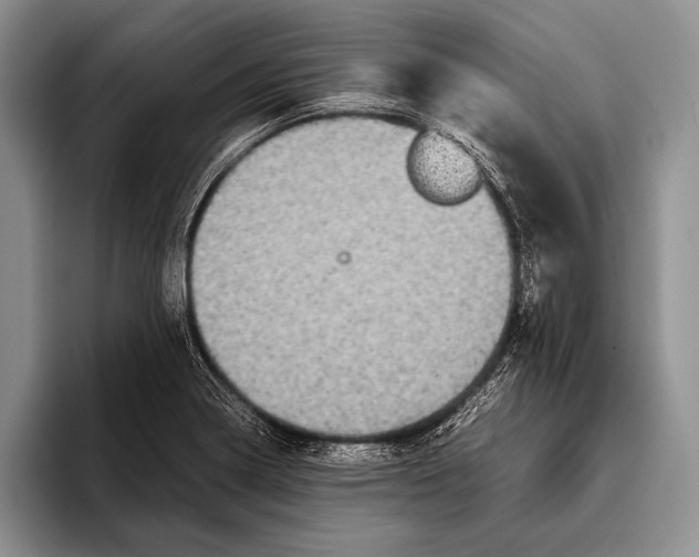 X0000095951322200802081249