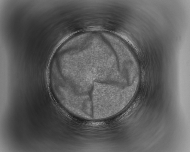 X0000095951325200802081249