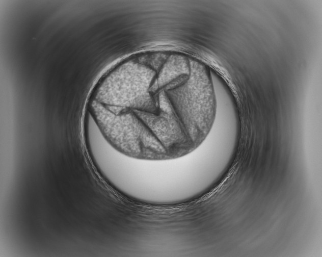 X0000095951328200802081249