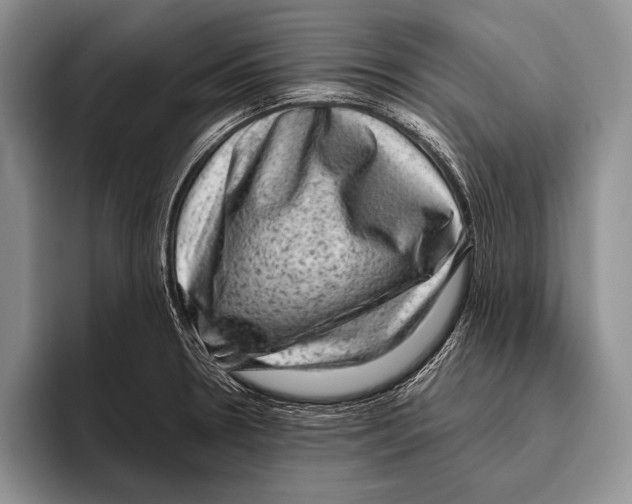 X0000095951330200802081249