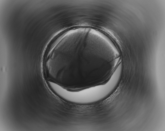 X0000095951331200802081249