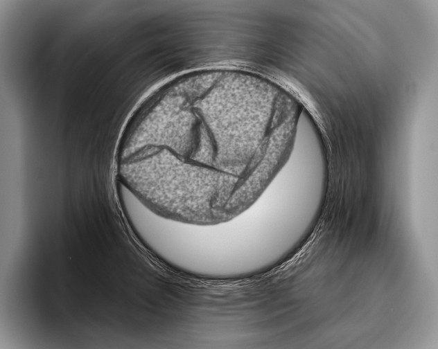 X0000095951332200802081249