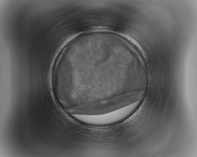 X0000095951333200802081249