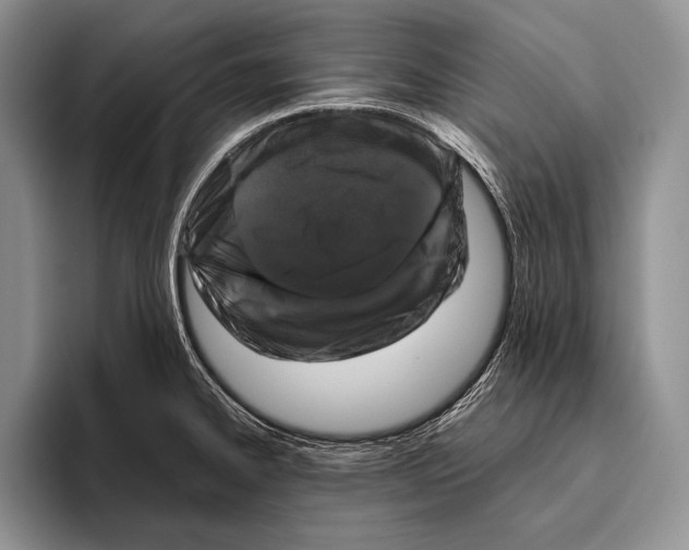 X0000095951334200802081249