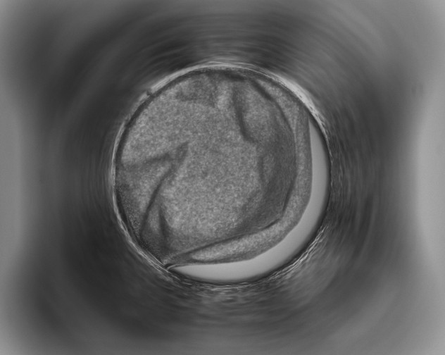 X0000095951335200802081249