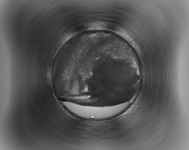 X0000095951337200802081249