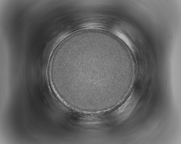 X0000095951338200802081249