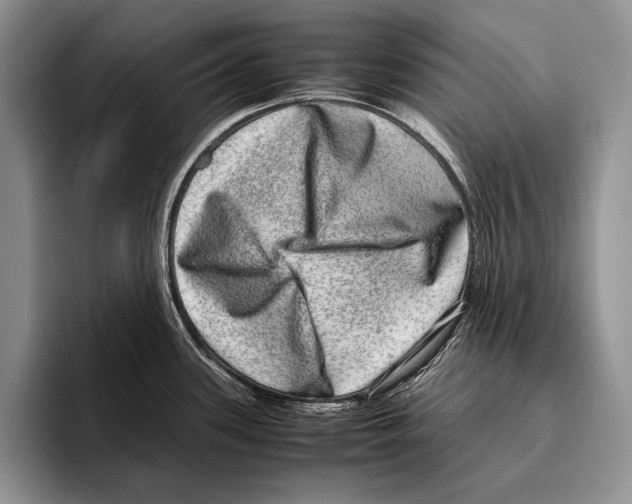 X0000095951339200802081250