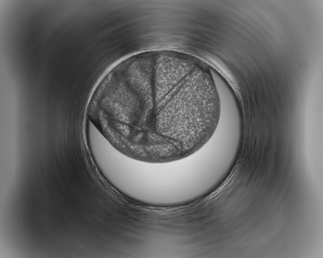 X0000095951340200802081250