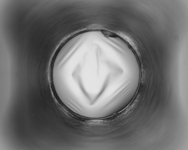 X0000095951342200802081250