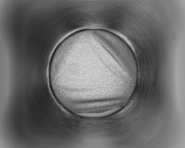 X0000095951343200802081250