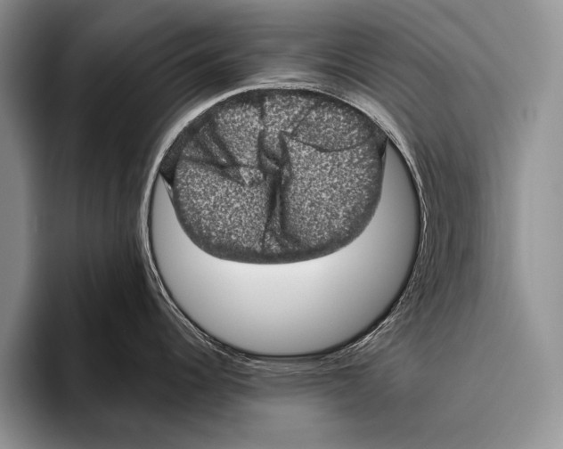 X0000095951344200802081250