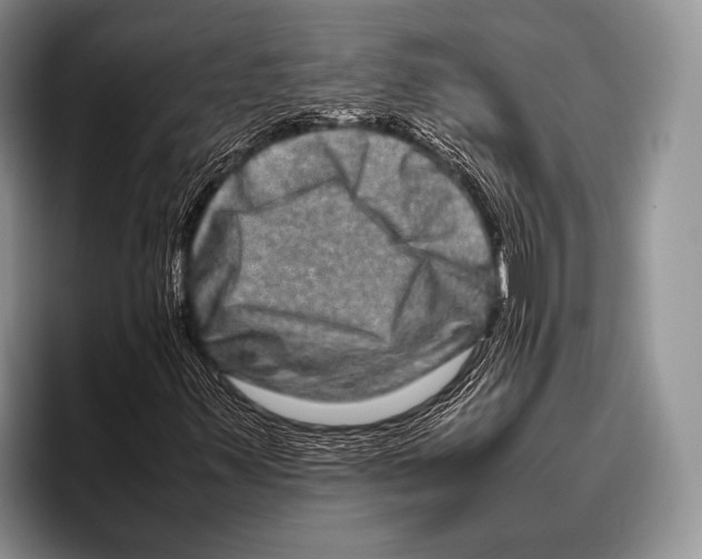 X0000095951347200802081249