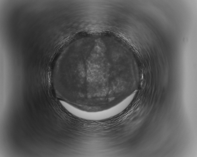 X0000095951348200802081249