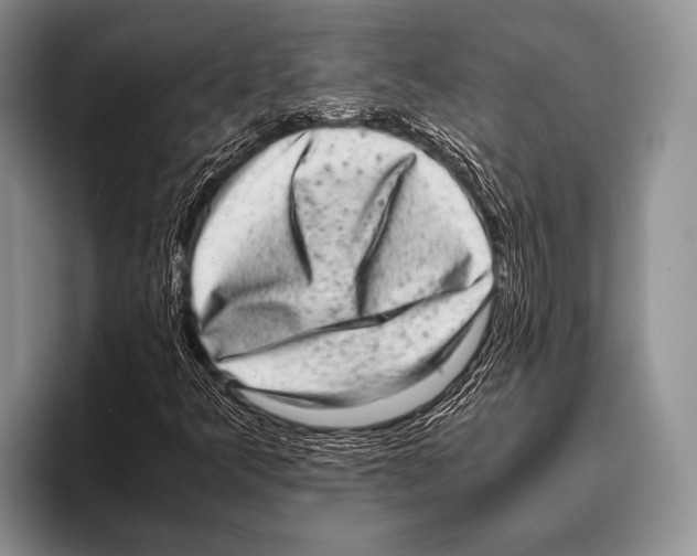 X0000095951349200802081249