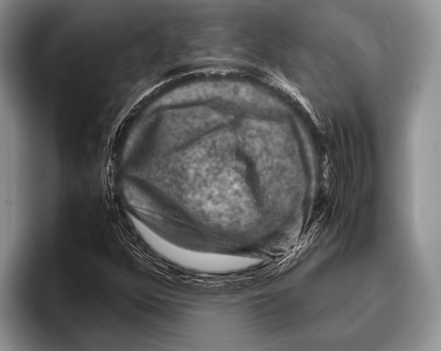 X0000095951352200802081249