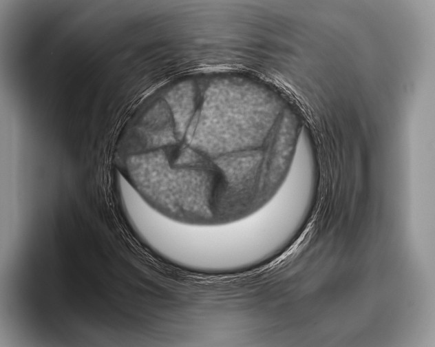 X0000095951353200802081249