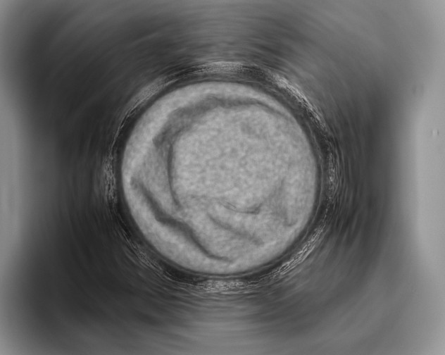 X0000095951354200802081249