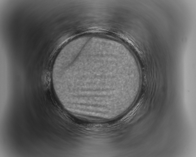 X0000095951355200802081249