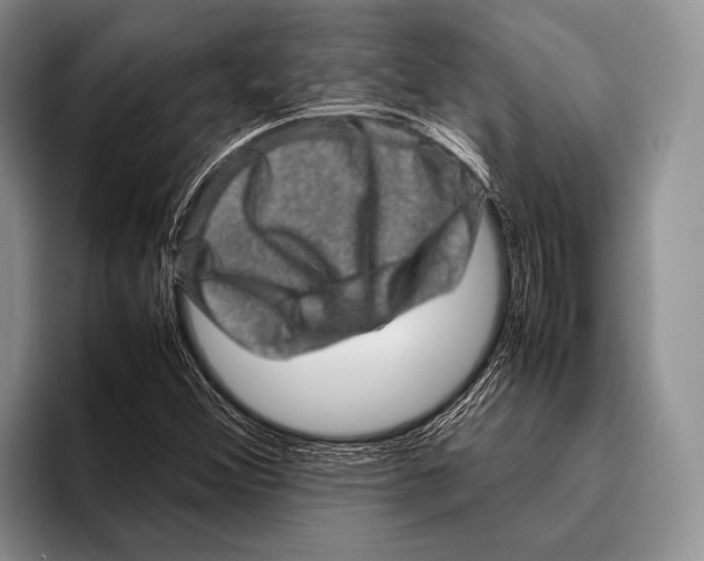 X0000095951356200802081249